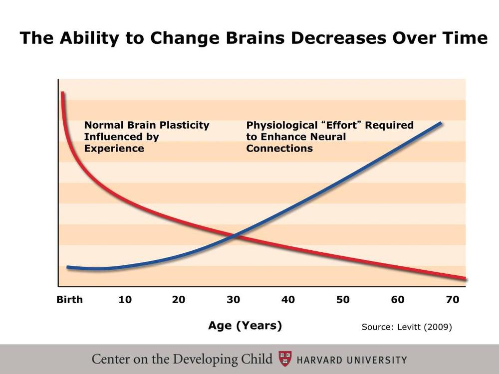 이미지 대체문구를 입력하세요
